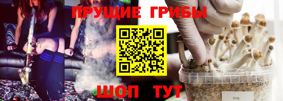 Псилоцибиновые грибы мицелий Малоярославец